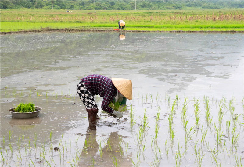 How To Travel Like A Local In Vietnam 