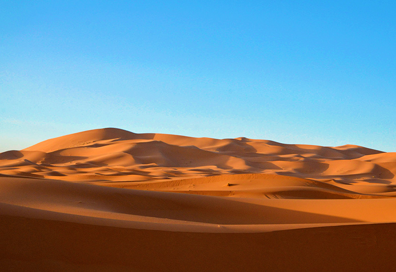 Spectacular sand dunes in the Sahara Desert