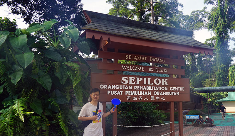 Sepilok Orangutan Rehabilitation Centre in Sabah, Malaysia