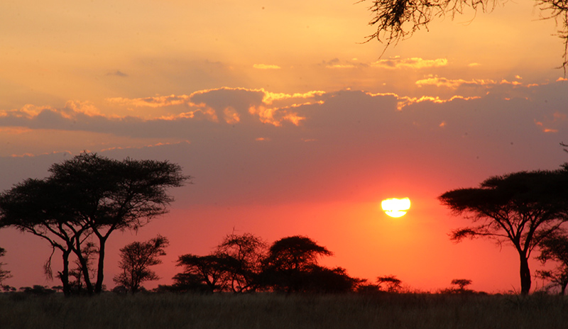 A splendid sunset view of Serengeti