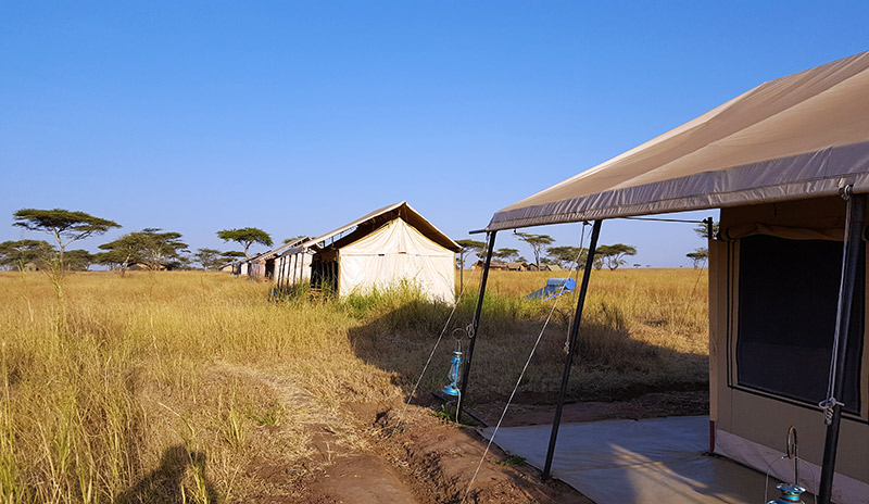 A tent camp in Serengeti, Tanzania