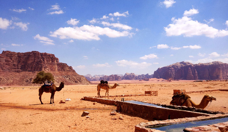 Camel riding is one of the most authentic way to experience Wadi Rum, Jordan