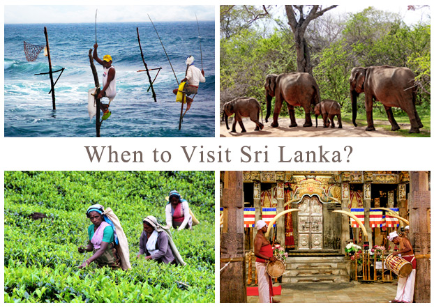 Best Time to Visit Sri Lanka: Discover the Perfect Season
