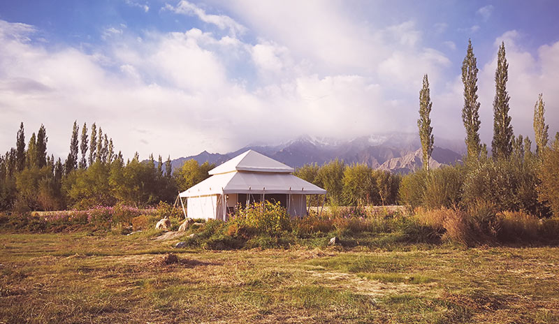 Chamba Camp in Thiksey