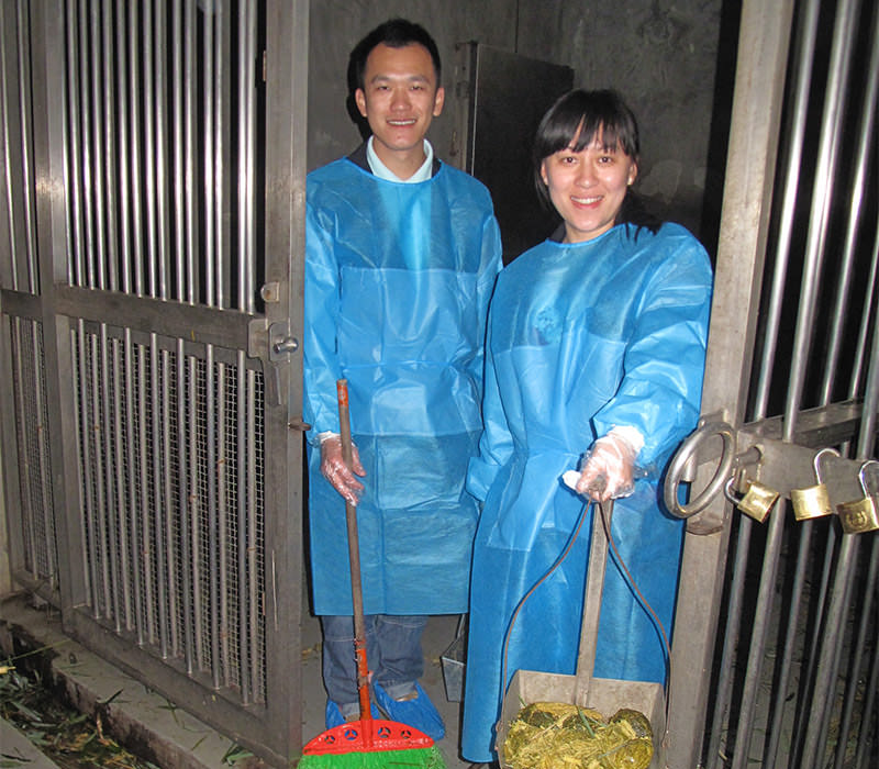 Cleaning the enclosures of giant pandas as a volunteer 