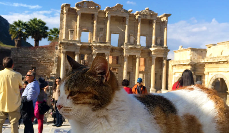 The Library of Celsus, a landmark of Ephesus