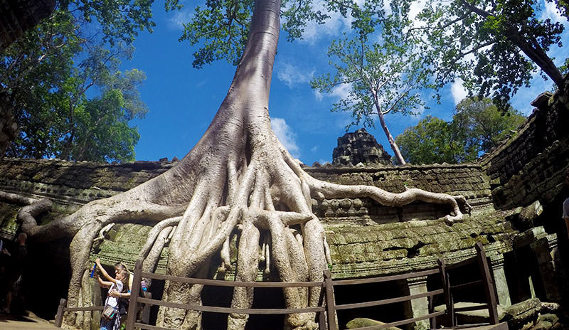 Ta Prohm Cambodia