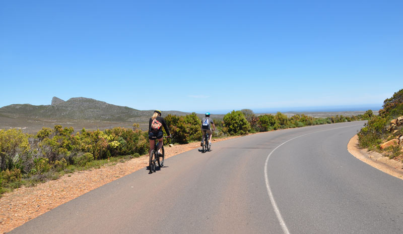 Cycling tourists on Garden Route
