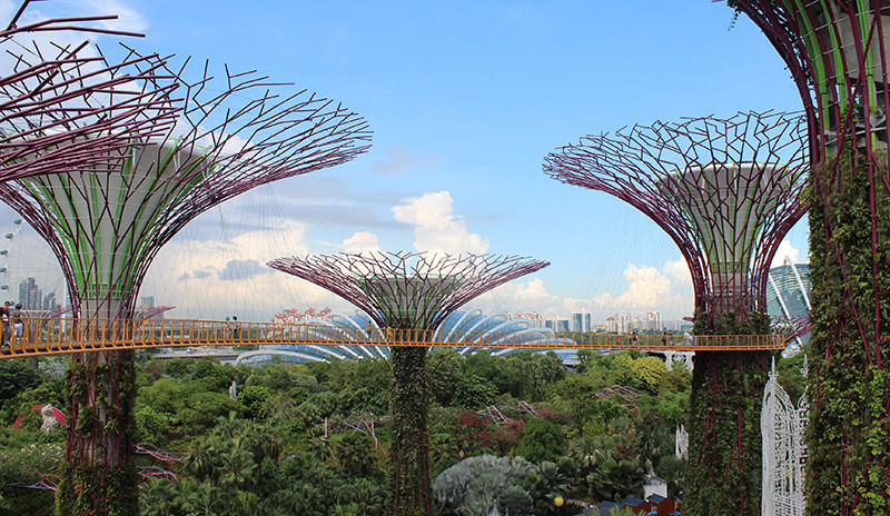 Gardens by the Bay