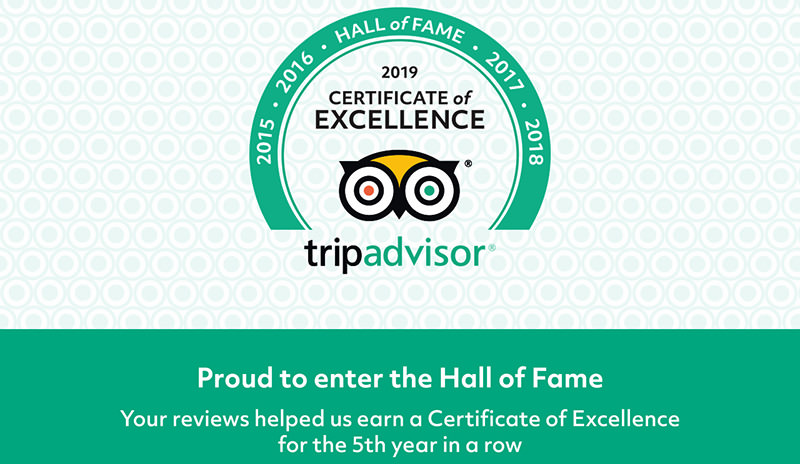 Odynovo awarded TripAdvisor 2019 Certificate of Excellence and Hall of Fame
