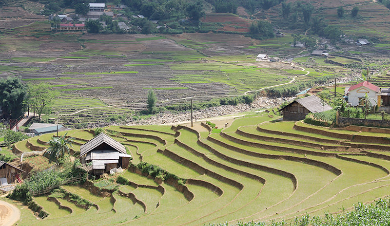 Hike into the Rice Terraces of Sapa and Meet with Local Minority People