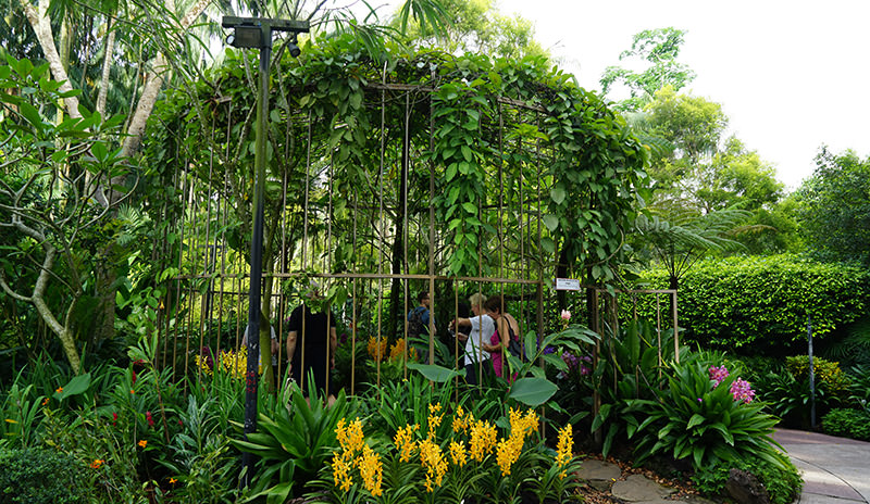 Singapore Botanic Gardens