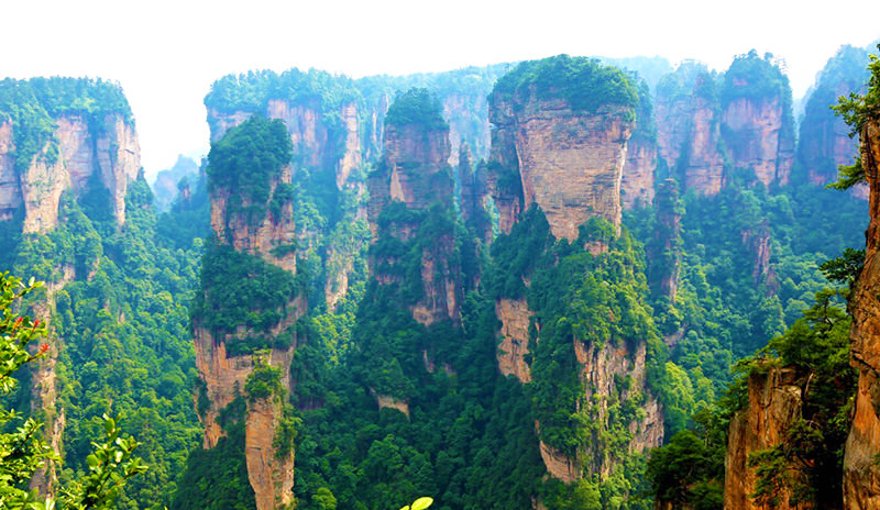 Quartz-sandstone pillars in Zhangjiajie National Forest Park