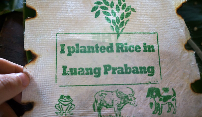 Certificate of the Living Rice Farm in Laos