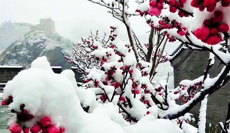 la Grande Muraille à Beijing en hiver