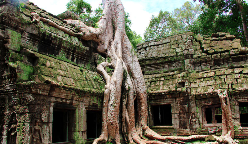 Le Temple Ta Prohm