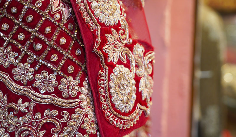 Le sari avec le broderie délicate