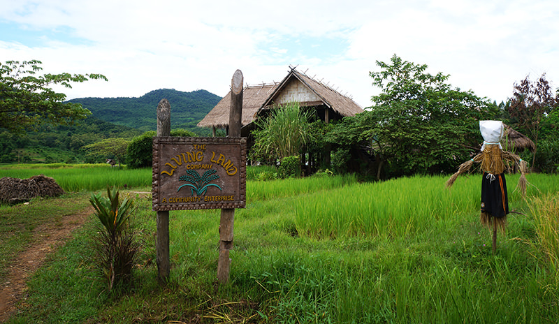 The Living Rice Farm in Laos