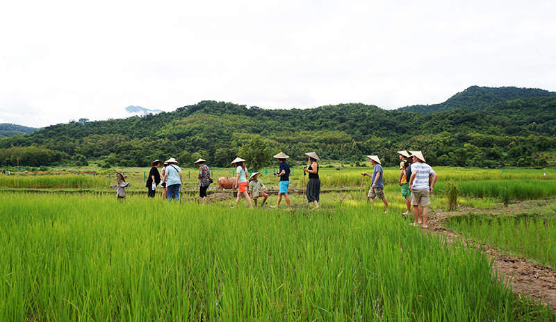 Why a Trip to Southeast Asia During Monsoon Is Actually Worth Doing?