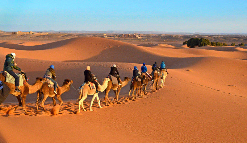 Paseo en camello por el desierto