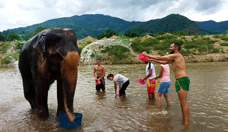 Santuario de elefantes en Chiang Mai