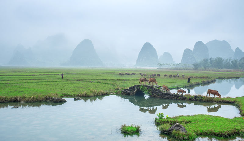 Le paysage rural de Guilin