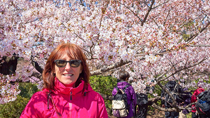 Sakura Hanami in Ueno Park, Tokyo