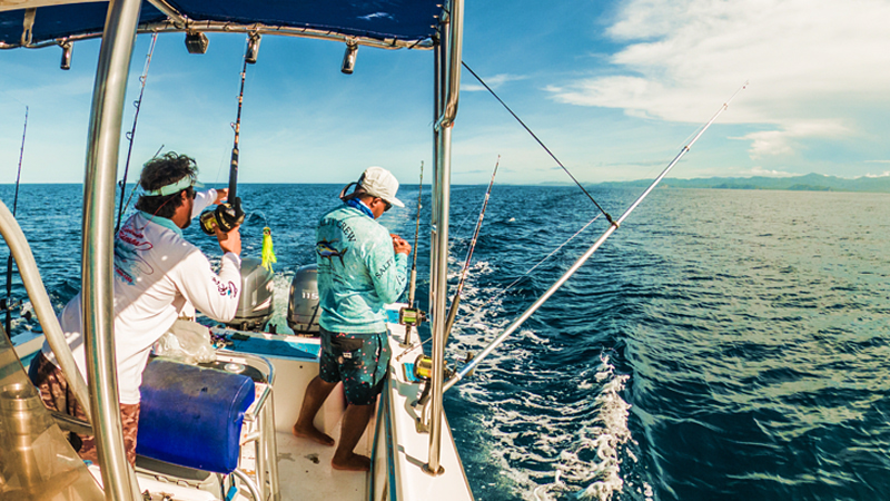 Fish in a Tropical Ocean