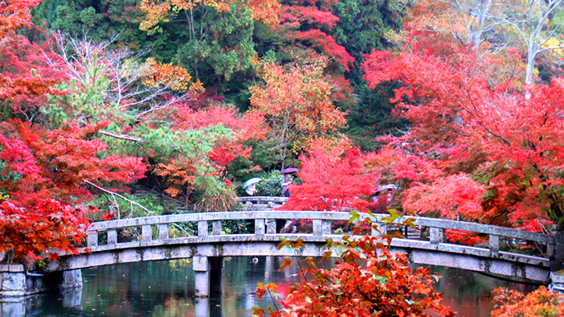 Eikan-do Temple in Kyoto