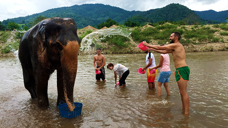 Elephant Natural Park in Chiang Mai