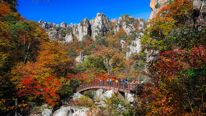 Autumn in South Korea
