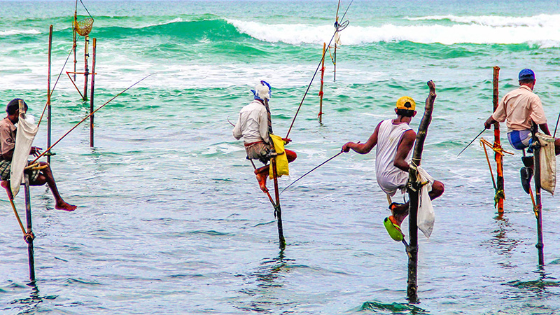 The Fisherman in Galle