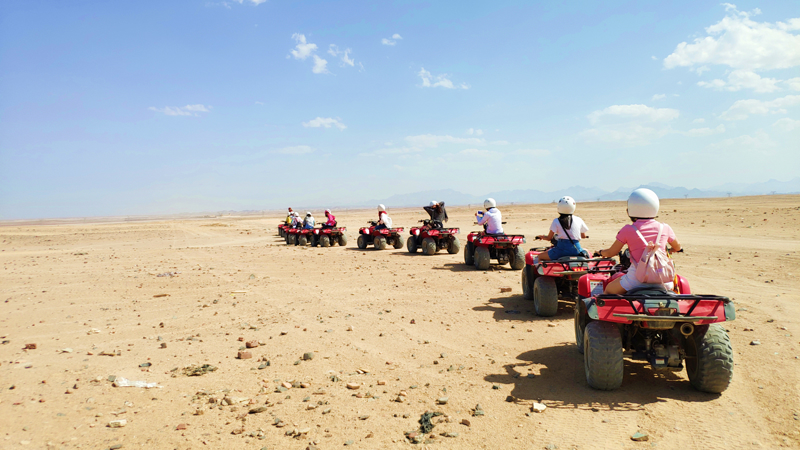 Explore the Desert by Jeep