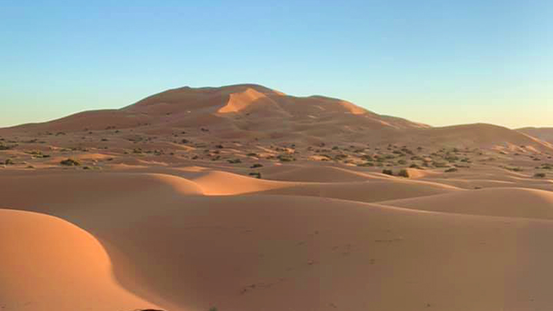 Sahara Desert