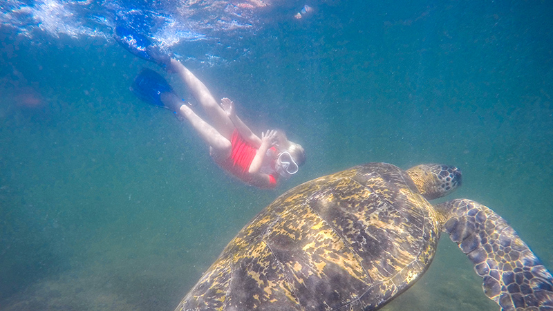 Snorkling in Ecuador