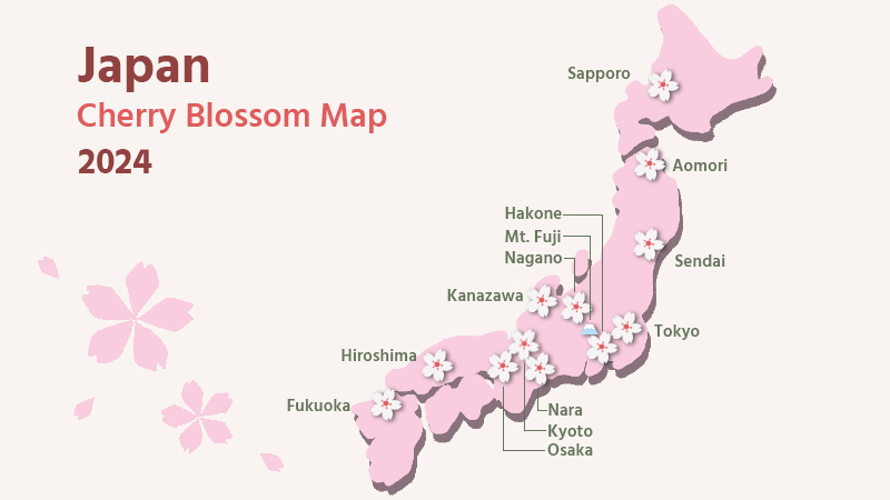 Plan A Sakura Tour For 2025 Spring Cherry Blossom Hanami