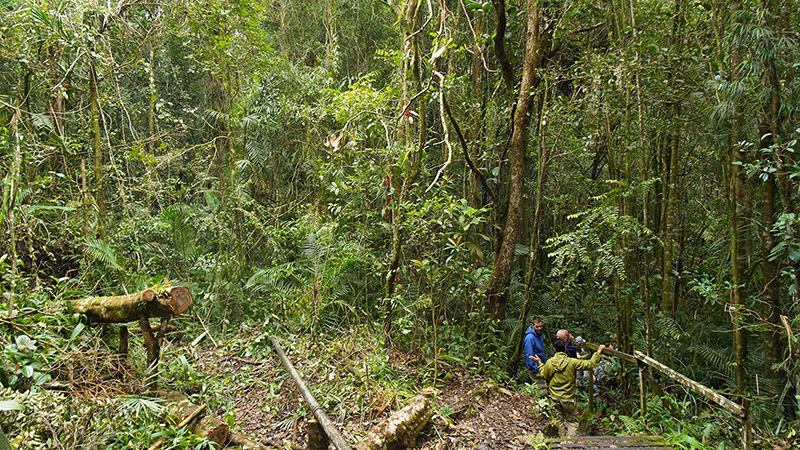 Kinabalu National Park