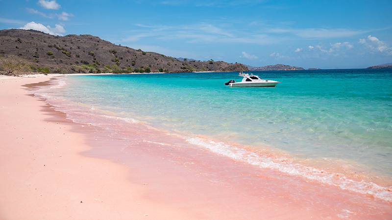 Pink Beach in Komodo Island, Indonesia