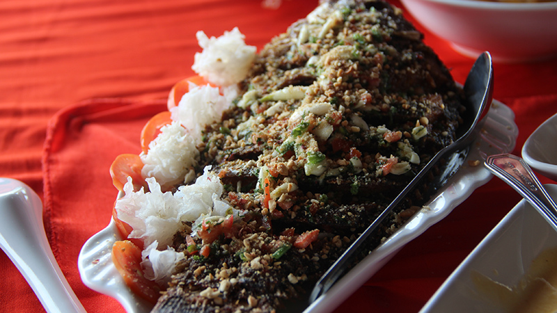 Grilled Fish