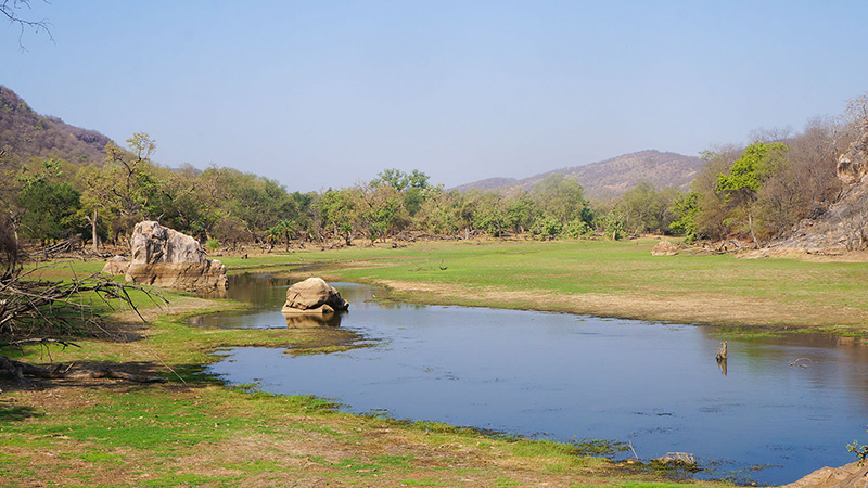 Ranthambore National Park