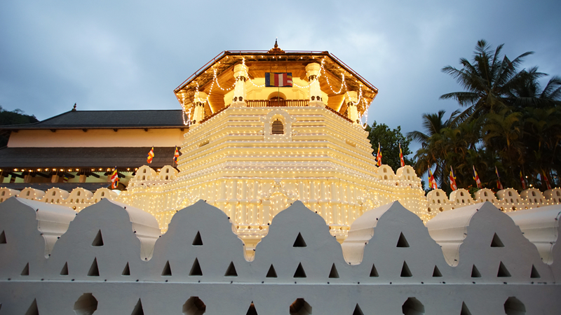 Sacred Tooth Relic