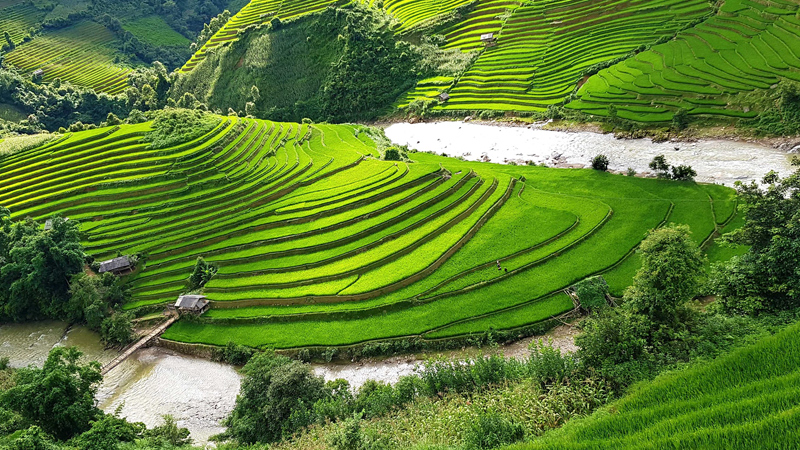 Sapa Travel Guide: What To Do & See, Best Time & More