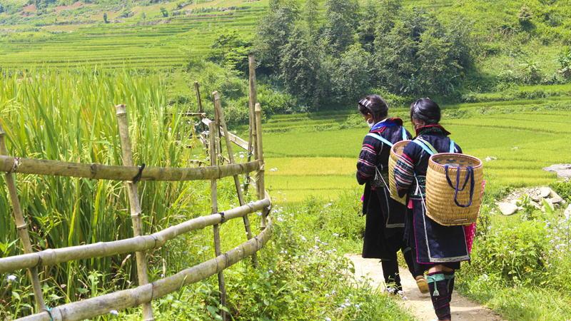 Village Experience in Sapa