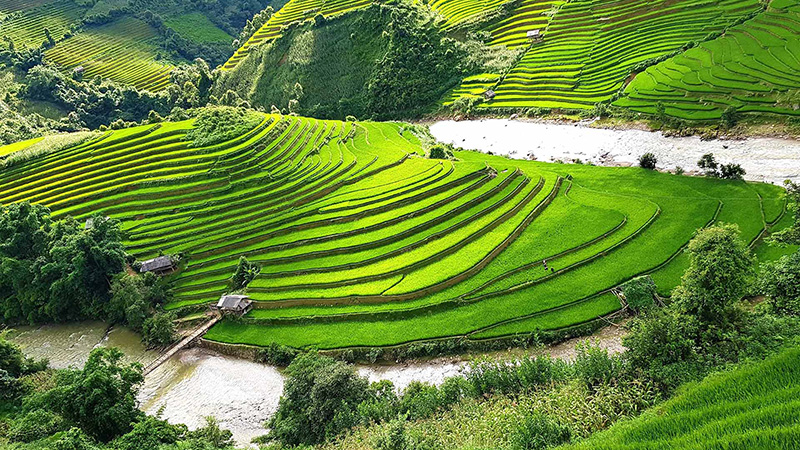 Sapa Terraces