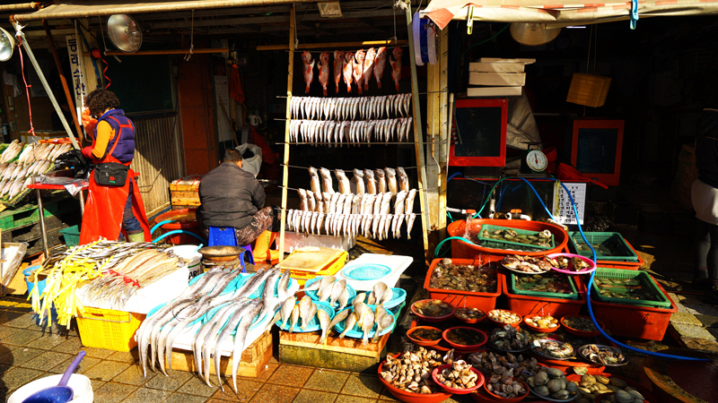 Seafood Market in Busan