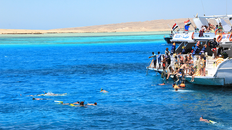 Snorkeling in the Red Sea