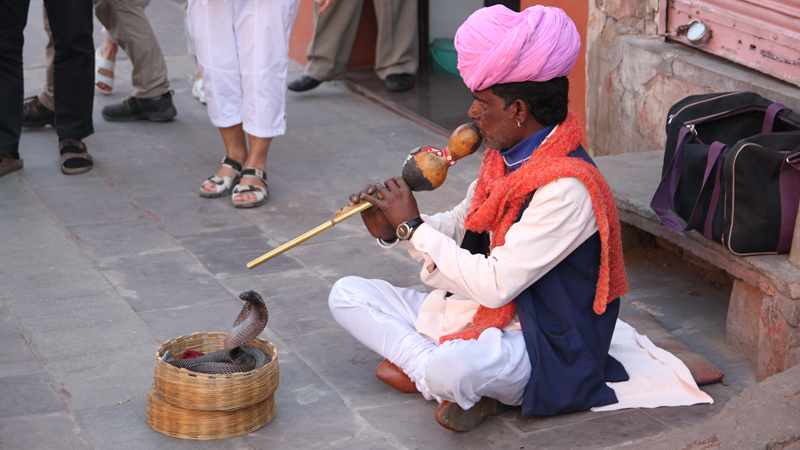 Snake Charmer