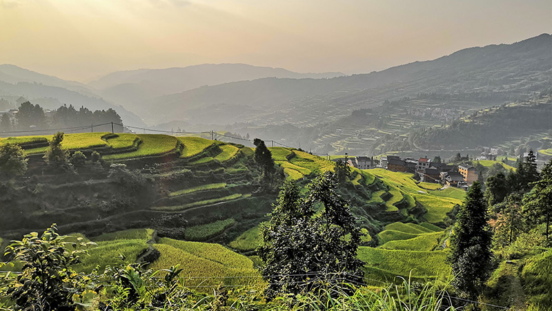 Tang'an Terrace Field