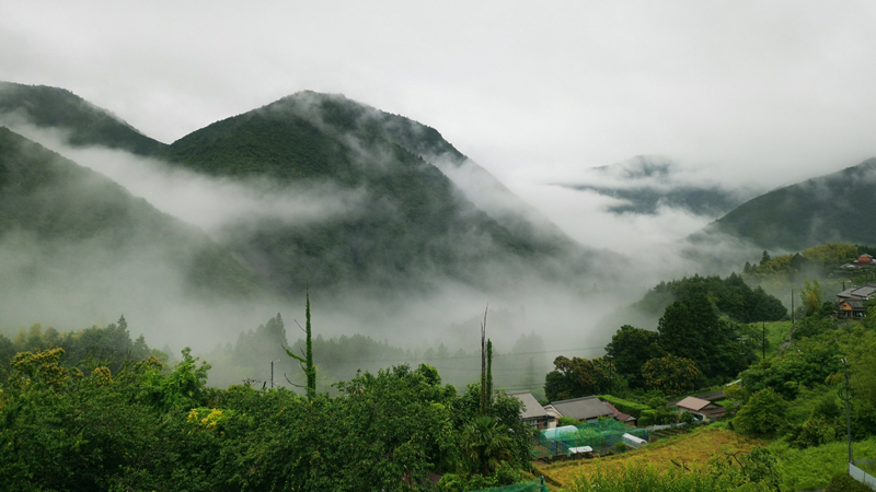 Vapour from Yunomine Onsen