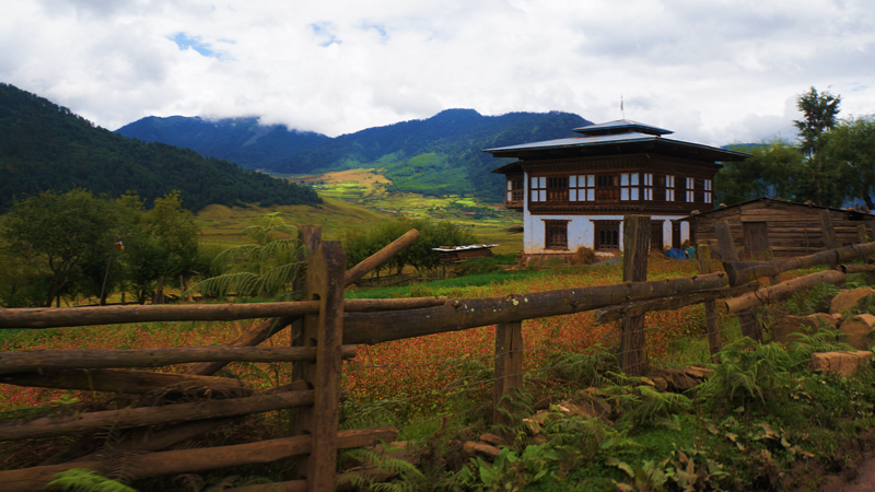 Village During the Gangtey Nature Hike